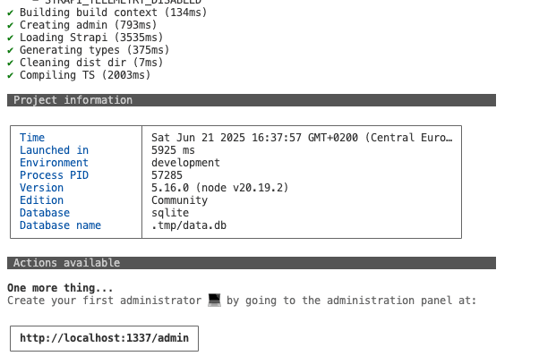 Running strapi locally